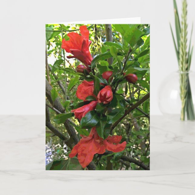 Carte Fleurs de grenadier (Devant)