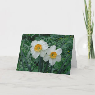 Carte Fleurs de jonquille