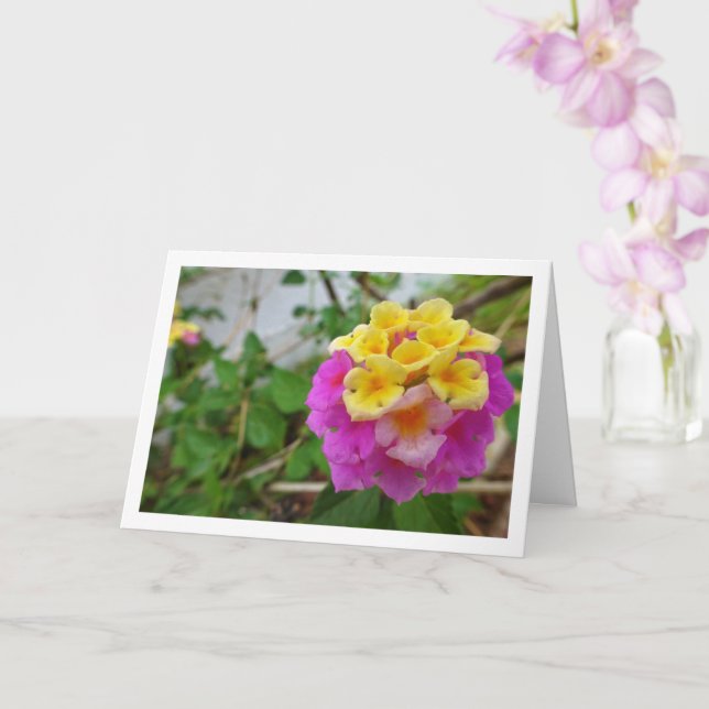 Carte Fleurs de Lantana rose et jaune (Orchidée)