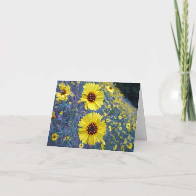 Carte Fleurs de Madia communes dans le parc national de  (Devant)