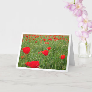 Carte Fleurs de pavot rouge