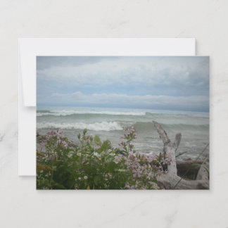 Carte Fleurs de plage
