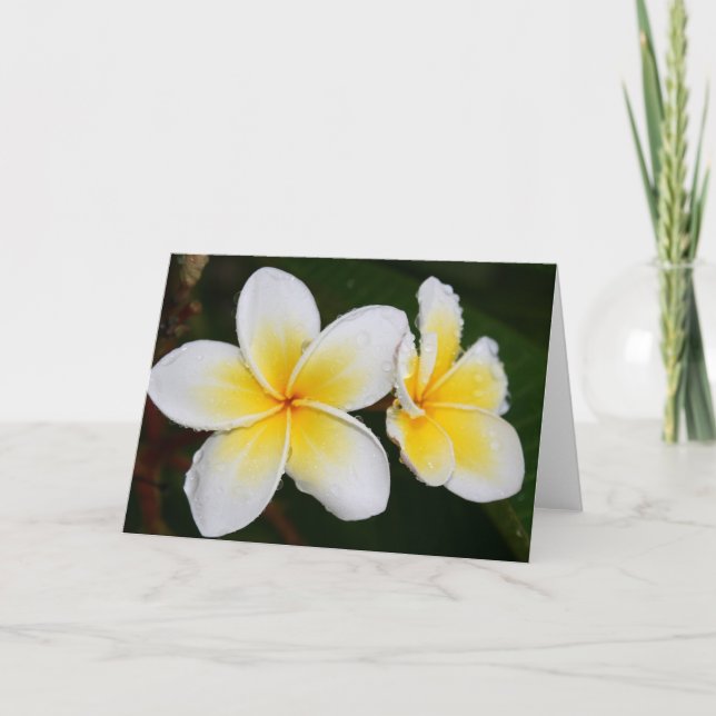 Carte Fleurs de Plumeria (Devant)