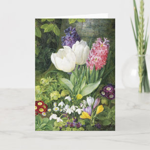 Carte Fleurs de printemps en bulbe hollandaises