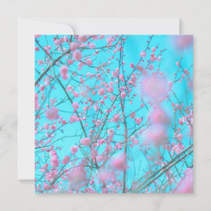 Carte Fleurs de prunes (Suzhou, Chine)