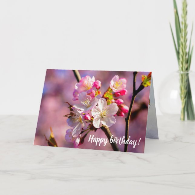 Carte Fleurs De Sakura Frais Dans Le Jardin Au Printemps (Devant)