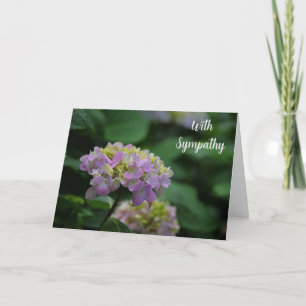 Carte Fleurs d'Hydrangée rose et blanche avec sympathie