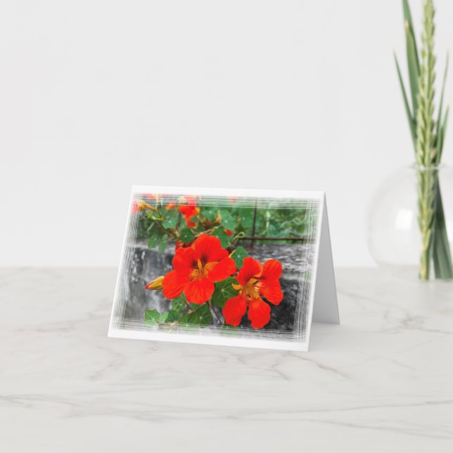 Carte Fleurs d'orange vif (Devant)