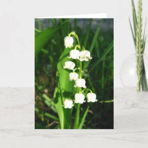 Carte Fleurs du muguet