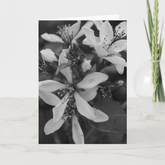 Carte Fleurs en noir et blanc (Devant)
