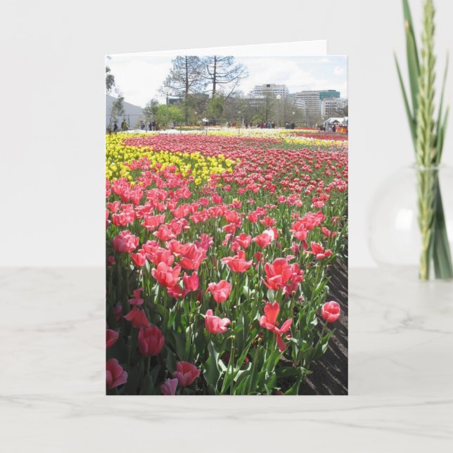 Carte fleurs, en pensant à toi (Devant)