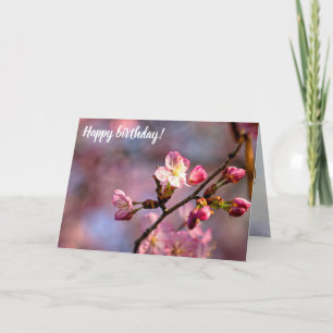 Carte Fleurs Et Boules De Sakura Éclairées Par Un Jour D