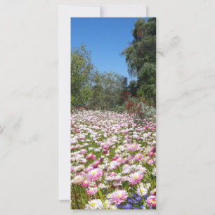 Carte Fleurs éternelles