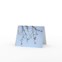 Carte Fleurs Féroces