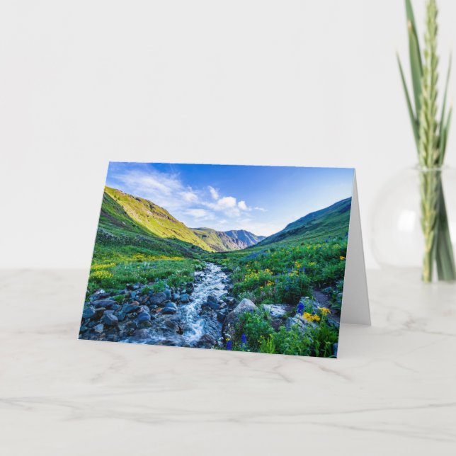 Carte Fleurs | Fleurs sauvages en Colorado (Devant)