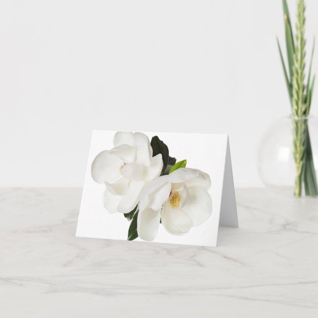 Carte Fleurs florales des Magnolias blancs (Devant)