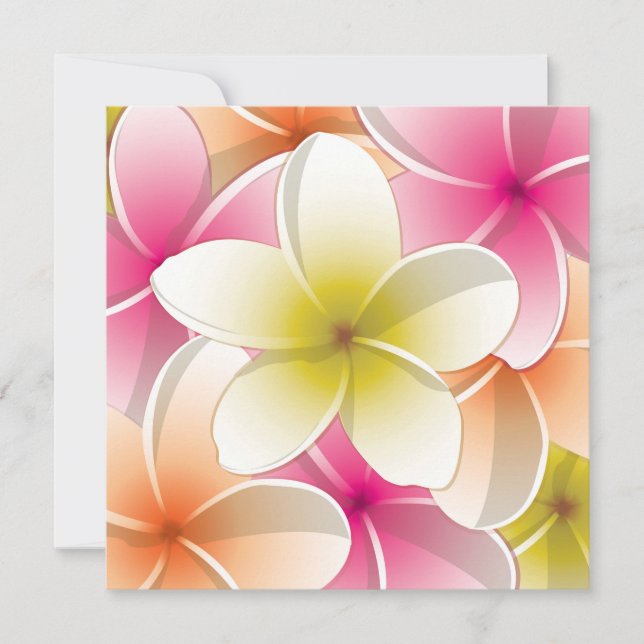 Carte Fleurs frangipani/Plumeria (Devant)