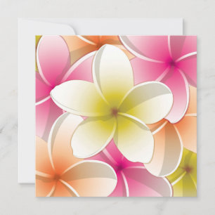 Carte Fleurs frangipani/Plumeria