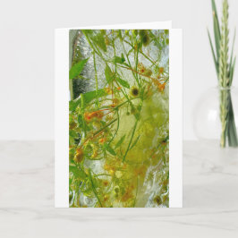 Carte Fleurs glacées,