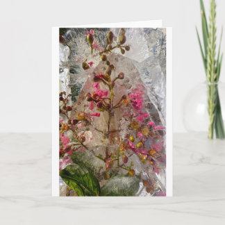 Carte Fleurs glacées,