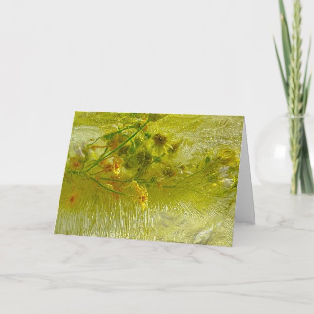 Carte Fleurs glacées, (Devant)