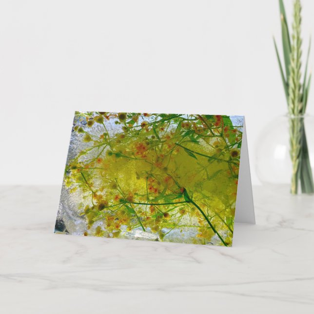 Carte Fleurs glacées, (Devant)