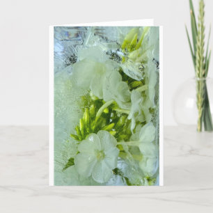 Carte Fleurs glacées,