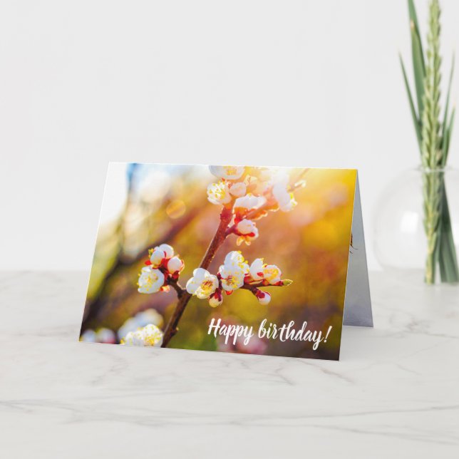 Carte Fleurs Japonaises D'Apricot Au Coucher De Soleil O (Devant)