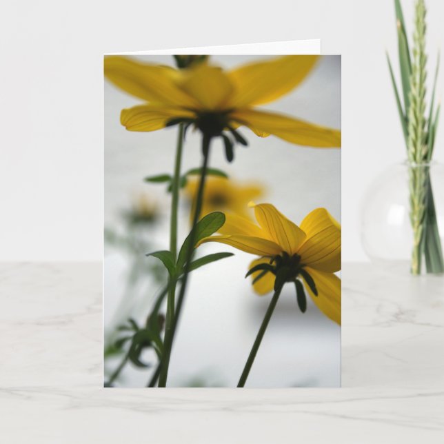 Carte Fleurs jaunes Bidens Ne pas détourner GC (Devant)
