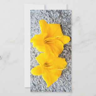 Carte fleurs jaunes de jour en pleine floraison
