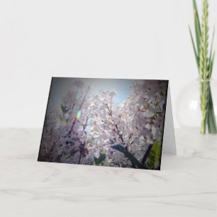 Carte Fleurs Lilac