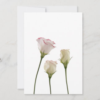 Carte fleurs lisianthus blanches, trio