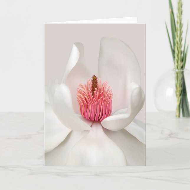 Carte Fleurs | Magnolia blanche (Devant)