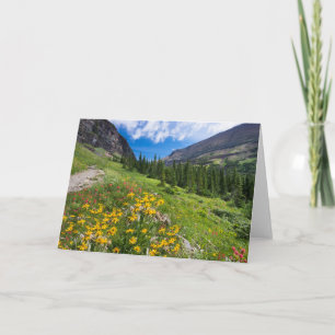 Carte Fleurs   Montana Flower Path