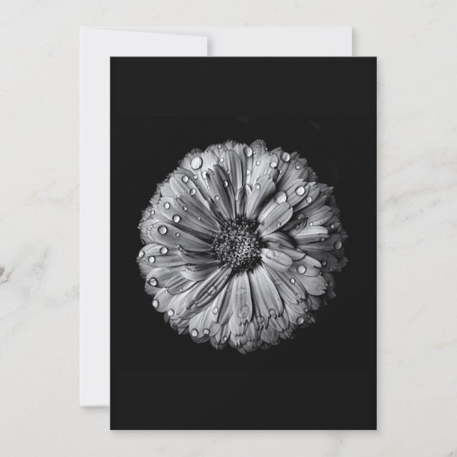 Carte Fleurs Noires Et Blanches 10 (Devant)