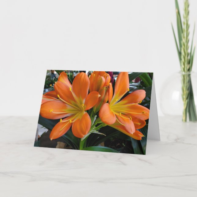 Carte Fleurs orange (Devant)
