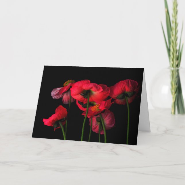 Carte Fleurs | Poppies rouges (Devant)