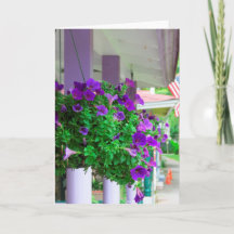 Fleurs pourpres - Vignoble de Martha