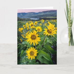 Carte Fleurs   Rivière Balsomroot Columbia, Oregon