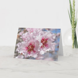 Carte Fleurs roses