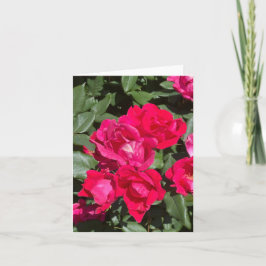 Carte Fleurs Rouges Et Feuilles Verts