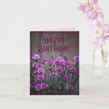 Fleurs Rustiques Rose Dianthus Anniversaire