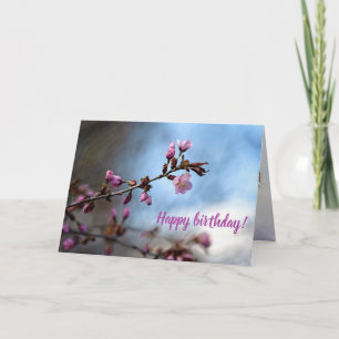 Carte Fleurs Sakura Roses, Ciel Bleu, Nuage Blanc