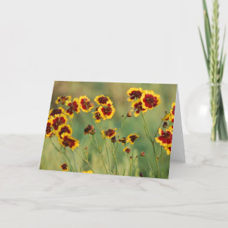 Carte Fleurs sauvages