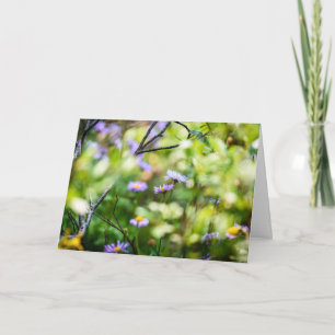 Carte Fleurs sauvages de montagne