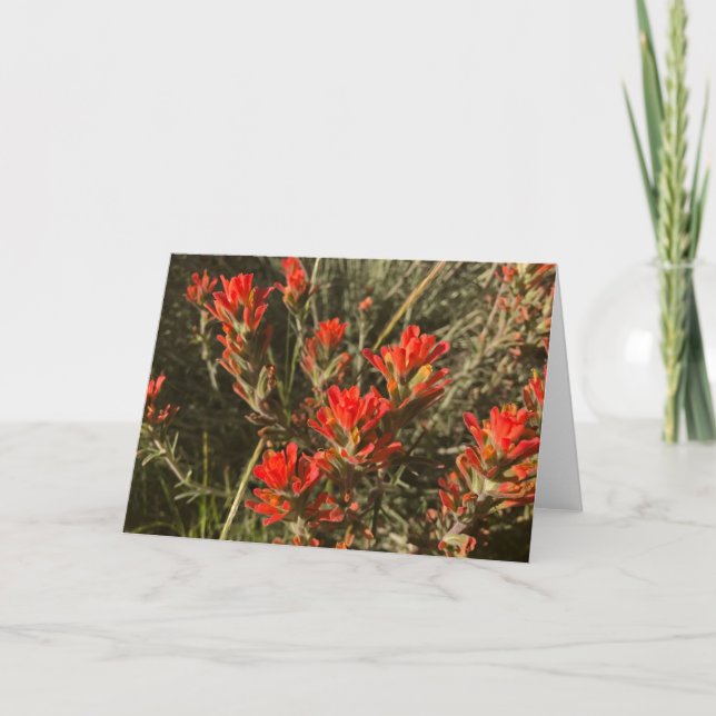 Carte Fleurs sauvages indiens de pinceau (rouge) (Devant)