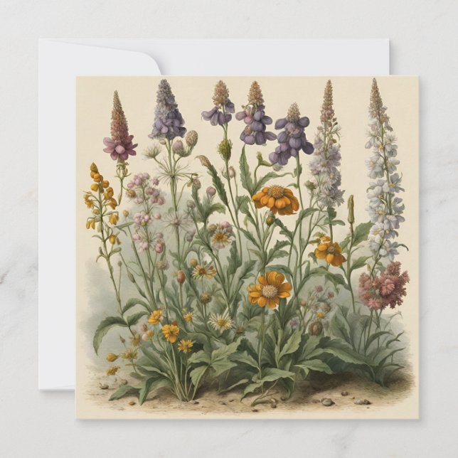Carte Fleurs sauvages vintage  (Devant)