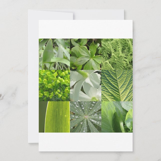 Carte Fleurs vertes (Devant)