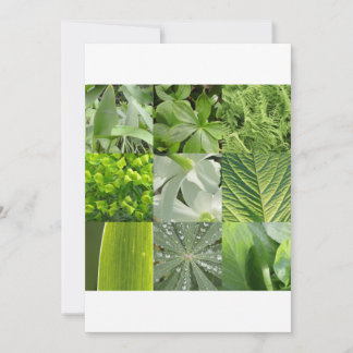 Carte Fleurs vertes