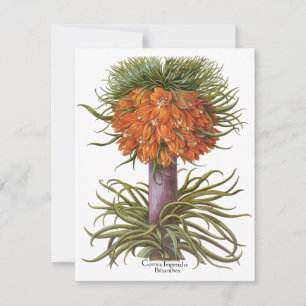 Carte Fleurs vintages de Fritillaria par Basilius Besler